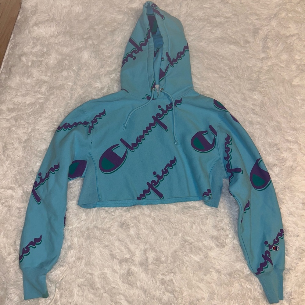 Champion Blue and Purple Cropped Hoodie